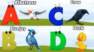 ABC Song | Birds ABC Song | Phonics for Kids| Learn ABC, Baby | Alphabet Letters