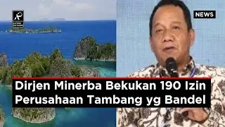 Tegakkan Aturan, Dirjen Minerba Bekukan 190 Izin Perusahaan Tambang yang Membandel