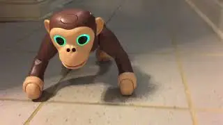 Zoomer Chimp in action