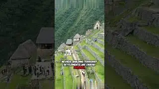 The Vanishing of the Tairona: Colombia&rsquo;s Golden Cities #history #shorts