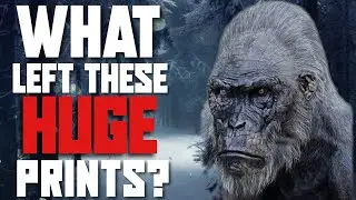 😧  WOW! BIGFOOT 2021 | BIGFOOT VIDEO 2021 | REAL BIGFOOT FOOTPRINT