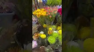 #hongkong #tsingyi #chung on #estate #flowers #shop