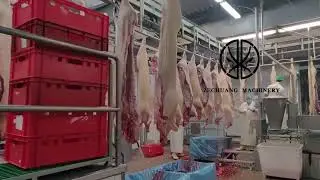 International Food Stand Class Pig Slaughterhouse Equipment Stainless Steel Hook