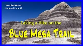 Hiking the Blue Mesa Trail:  Petrified National Forest AZ