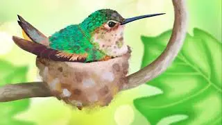 20 Unheard Animal Facts: The Wild Secrets