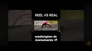 Reel vs real #spiderman #marvel #comedy #funny #fun #reelvsshorts #usa #funnyshorts #america #viral