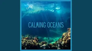 Ocean Cliffs