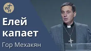 Елей капает / Гор Мехакян  / 22.11.2025