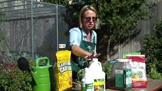HOW TO GROW GREAT TOMATOES AT HOME  (LEARN & LAUGH)