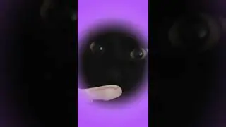 Diffidenza