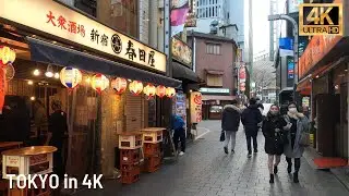 4K Япония - Вечерняя прогулка по Токио Синдзюку, январь 2021 г.