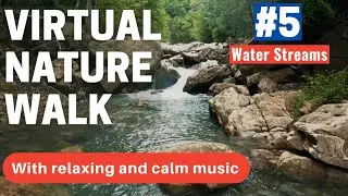 Virtual nature walk | tour #5 - water stream brook creek | calm relax meditation bird chirp sound