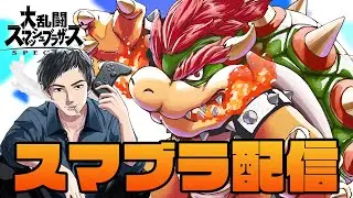 11月14日もこんばんは スマブラするクッパ使いのこんが