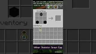 make unique items in Minecraft #minecraft #trending
