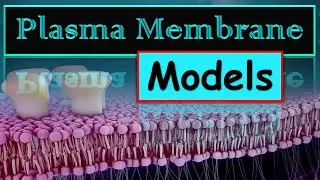 Models of Plasma Membrane Structure (Detailed Explanation)..(#ppt)