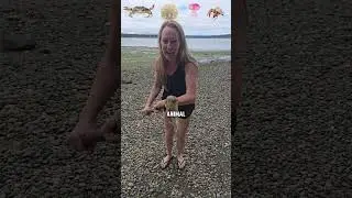 I have the best sea animal