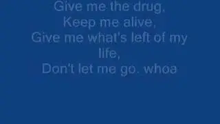 Rise Against - Injection (with lyrics)