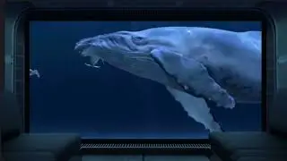 Whale Sounds in the Ocean a View from a Submarine Window 2 hours ❤️❤️❤️ #3