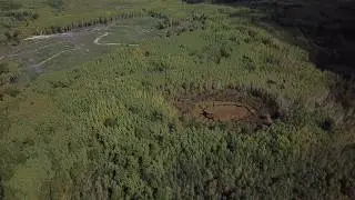 Drone: Paul Bunyan State Forest 9/28/19