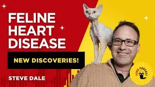 New Hope for Cats with Heart Disease with Steve Dale - Purr Podcast Episode 223