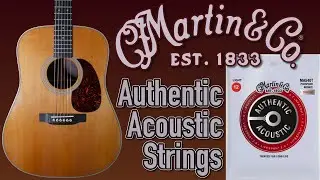 Martin & Co. Lifespan 2.0 Long Lasting String Test - Then vs. Now
