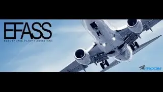 EFASS
