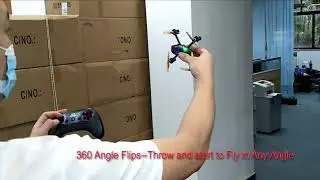 Eneopterinae F121 | Altitude Holding by Inertial Navigation MINI Racing Drone