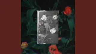 Cassette 1