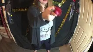 zingdama 1