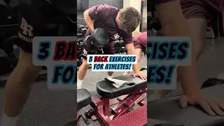 3 Back Exercises EVERY Athlete Should Be Doing! 🔥💪