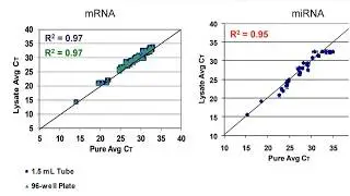 How to Perform Total RNA Extraction with Cells-to-Ct Kits