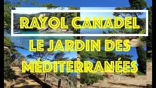 Domaine du Rayol Canadel - Le jardin des Méditerranées