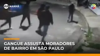 “Gangue da Molecada” aterroriza moradores no Rio Pequeno, Zona Oeste de SP | #SBTManhã