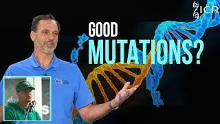 Is Every Mutation Negative? | Creation Q&A: Campus Edition