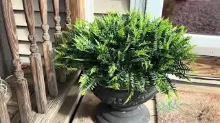 Porch Goals Made Easy with These Faux Ferns! #ad #amazoninfluencer