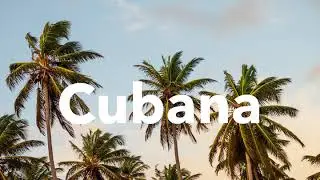 Free Latin Trap Type Beat 