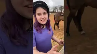 Horseback Riding in Aubrey, Texas // Activities for Kids in Dallas, Texas