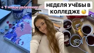 НЕДЕЛЯ УЧЁБЫ В КОЛЛЕДЖЕ влог