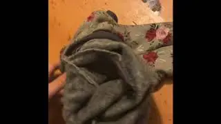 Sewing a dog coat