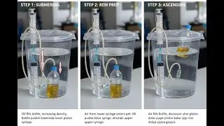 As the oil-filled bottle sinks to the bottom the lower piston is heavy the air in the syringe is
