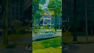 Surah Al Imran EXPLAINED in Simple Urdu #quranictranslation #urdutranslation  #quotes Quran in Hindi
