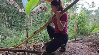 Harvest vegetables - go to the market to sell - take your child to school || husband left home.