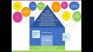 Primary Care Occupational Therapy Parent Information session