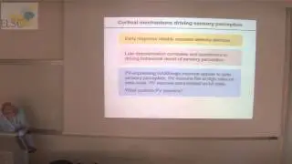 ELSC Seminar: Carl Petersen