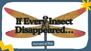 If Every Insect Disappeared&hellip; Here&rsquo;s Why Humans Would Be Next