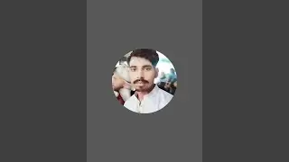 𝐇𝐈𝐌𝐀𝐍𝐒𝐇𝐔 𝐏𝐀𝐋 𝐑𝑬𝑨𝐋 𝐕𝑳𝗼𝐆 ♡ ̆̈ is live!