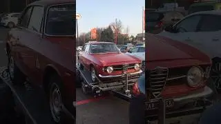 ALFA ROMEO GIULIA GT 1300 JUNIOR #short #shorts #alfaromeo #alfaromeogiulia #giulia #sprint #gt #art