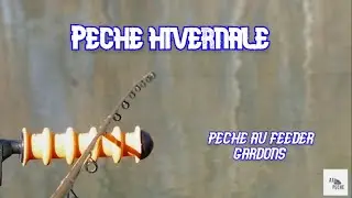 ****Pêche hivernale en canal**** /pêche au feeder (AJ pêche)
