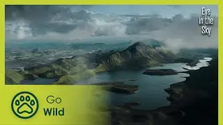 Greenland's Glaciers | Eye in the Sky 5/5 | Go Wild