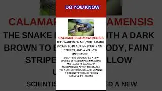 Do you know about this snake #crackyourmind #currentevents #latestnews #gkquiz #latestupdates